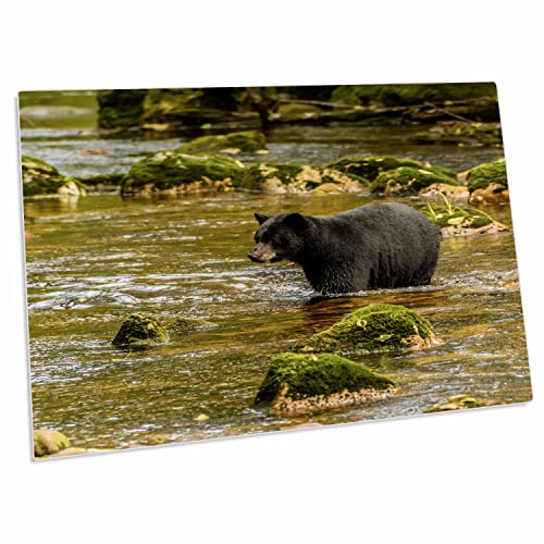 3dRose Canada Inside Passage Black Bear Fishing Desk Pad