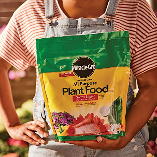 Miracle-Gro Fertilizante Soluble para Plantas 2-Pack 5.5 lbs miniatura 4