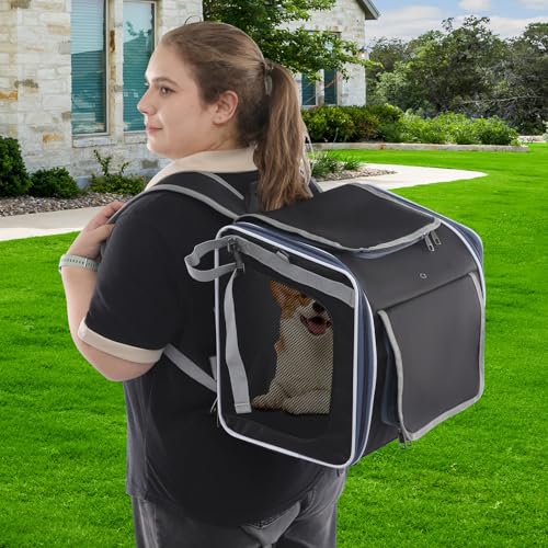 4-In-1 Hundekorb für Fahrrad, Faltbarer Hundefahrradkorb Vorne mit 4-Offenen Türen, 360°-Meshfenster, Roll-Sonnenschutz, Haustier-Reisetasche, Hunderucksack für Katzen & kleine Hunde, Schwarz