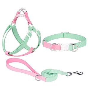 AIITLE Step in Dog Harness & Leash & Collar – Multicolor Lightweight Dog Halter Basic Collar with A 5FT Leash – for Extra Small Dogs Daily Walking and Training Green-Pink XS