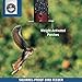 Droll Yankees YCPD-90M Yankee Dipper Bird Feeder, 5 lb, Burgundy