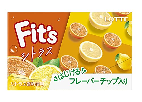 ロッテ Fit's 12枚×10個