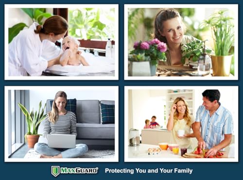 MaxGuard Silverfish + Insect Traps (12 pcs Box Trap) | Non-Toxic Extra Sticky Glue Traps, Kill All Silverfish, Centipedes, and Other Crawling Bugs and Insects |