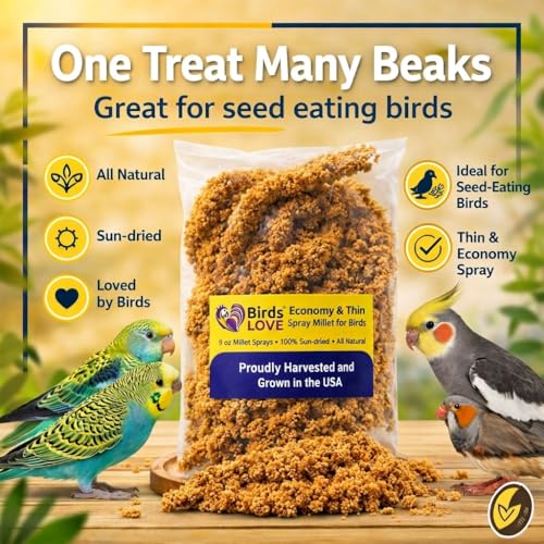 9 oz Spray Millet for Birds – GMO-Free, No Stems (Only Edible Tops) – 100% Natural Sun-Dried Foraging Treat for Cockatiels, Lovebirds, Parakeets, Finches & Canaries - Image 5