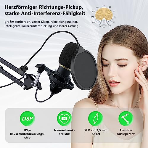 RUBEHOOW Kondensatormikrofon-Kit Streaming-Gerät mit DJ-Mixer Soundkarte für Live, Aufnahme, PC