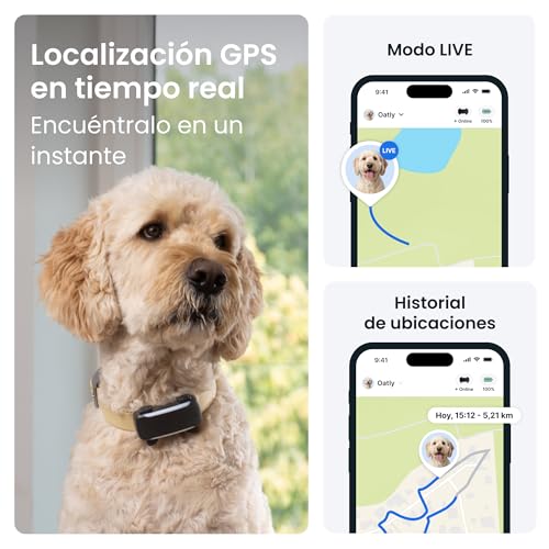 Miniatura 2 de Tractive GPS para Perros Inteligente | Edición 2026 | Localización GPS en Tiempo Real | Alertas antifuga y avisos de Salud | Monitorización de Constantes Vitales | Batería de Larga Duración (Negro)