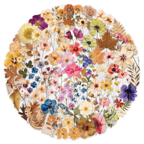 Image of Transparent Flora Scrapbook Stickers Aesthetic Flowers Stickers(100) | Transparent & Waterproof Sticker for Scrapbook Journal Water Bottle Kindle, DIY Crafts, Party Supplies