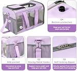 BELLA & PAL Cat Carrier Travel Bag, Airline Approved Lightweight Cat Carrier, Soft Sided Pet Carrier for Puppy Dogs Up to 18lbs, Collapsible Kitten Bag with Removable Waterproof Mat, Ventilated Mesh