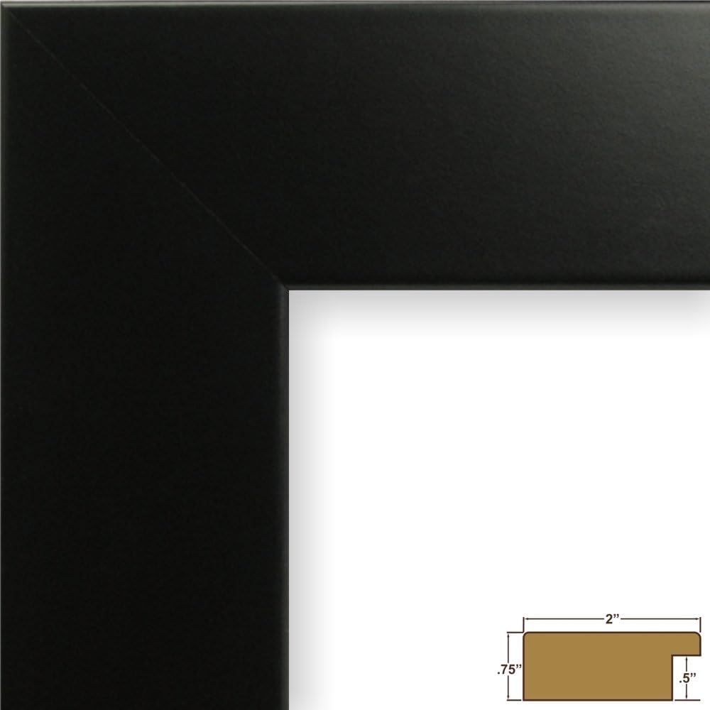 Craig Frames 74273 16 x 20-Inch Picture Frame, Smooth Wrap Finish, 2-Inch Wide, Black Satin
