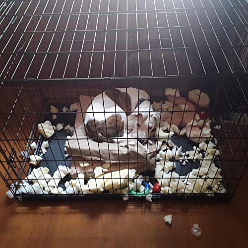 You a lie [Explicit]