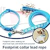 COYUN Collare Cane,collari e guinzaglio,Guinzaglio per Cani, regolabile per cani e gatti, con guinzaglio a sgancio rapido con fibbia per cani di piccola taglia e gatti cuccioli (Blu)