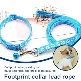 COYUN Collare Cane,collari e guinzaglio,Guinzaglio per Cani, regolabile per cani e gatti, con guinzaglio a sgancio rapido con fibbia per cani di piccola taglia e gatti cuccioli (Blu)