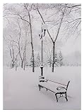 Hermosa nieve escena que se ilumina con LED de Little