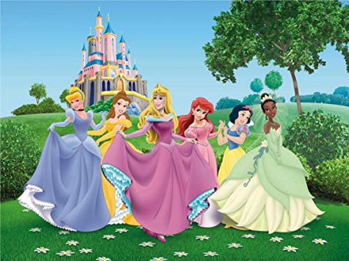 Fototapete FTDNxxl5003 Disney Princesses Prinzessin