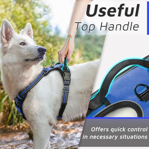 Image of Eagloo Dog Harness for Medium Sized Dogs, No Pull Vest with 2 Leash Clips