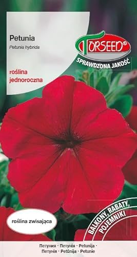 Verdica Cascading Beauty Pétunia × Hybrida Graines de pétunia – Fleurs simples vibrantes, parfaites pour les balcons et les lits, faciles à cultiver et à épanouir