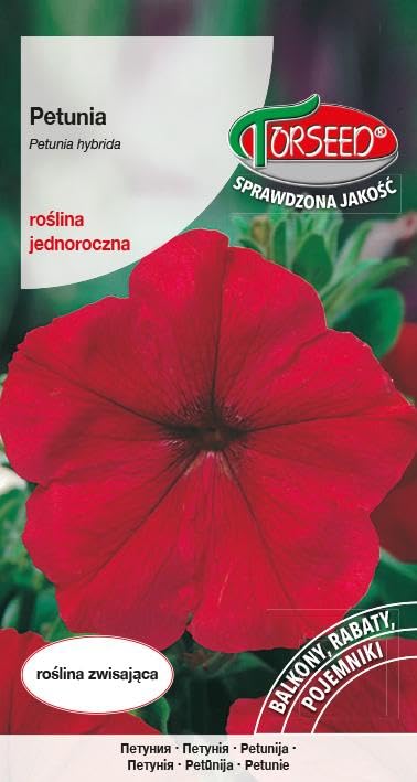Verdica Kaskadenschönheit Petunie Petunia × hybrida Samen – Lebendige Einzelblüten, Perfekt für Balkone & Beete, Einfach zu Kultivieren & Gedeihen (0,1 Gramm)
