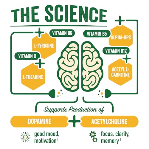 Image of BrainJuice Nootropics Brain Support Supplement, Gluten Free Powder for Energy and Focus, Drink Mix with L Theanine, Alpha GPC, Vitamin B, Organic Green Tea Extract (Peach Mango)