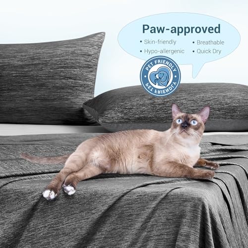 Image of Elegear Arc-Chill 3.0 Cooling Blanket for Hot Sleepers, Throw, Black | Q-Max>0.5 Cooling Fabric, Absorbs Heat to Keep Body Cool, Lightweight Summer Blankets for Night Sweats & Menopause, 51 inchx67 inch