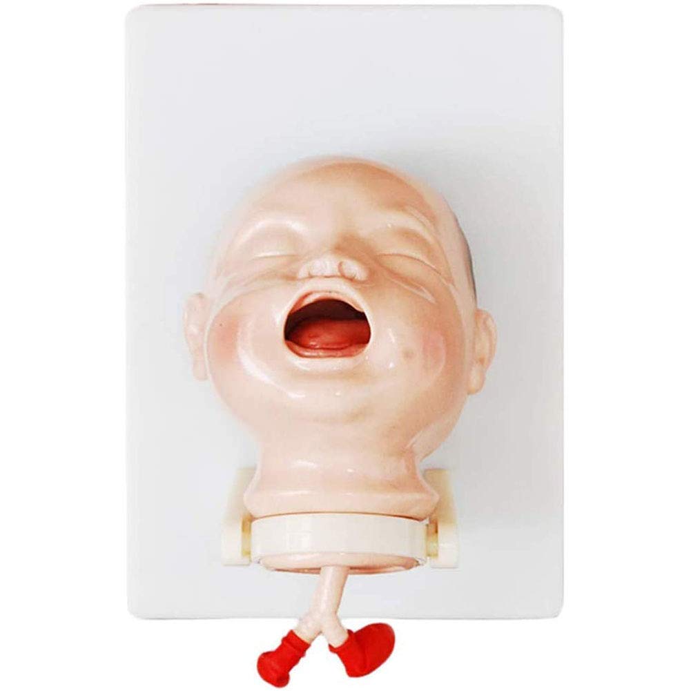 Modèle d'intubation trachéale médical AMITD haute fidélité