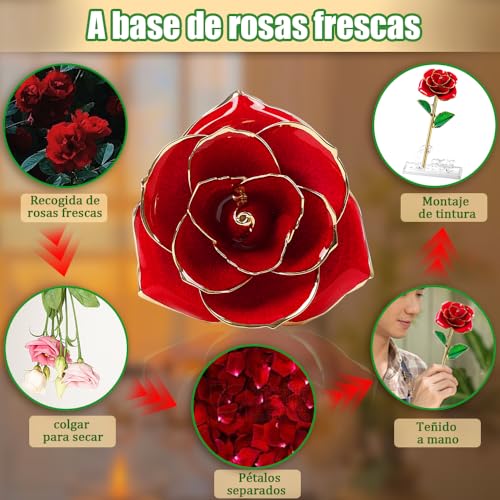 Listado de Rosa oro los mejores 5. 21 rosa oro marca Wotes (3)