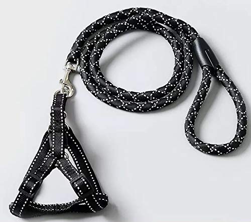KUTKUT Braided Nylon Rope and Adjustable Harness with Heavy Duty Leash Set for Dogs - AH032_M (B08PSL6NMG) Amazon Price History, Amazon Price Tracker