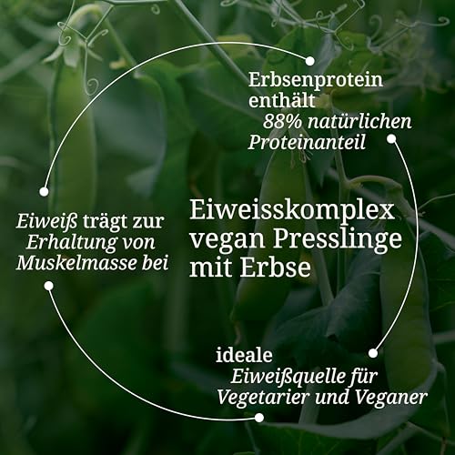 Eiweißkomplex Vegan I Eiweißpulver Tabletten Ohne Laktose (344 Stk) Erbsenprotein Hanfprotein Vitalstoffe Pflanzliches Protein Metabol BCAA Muskelaufbau Eiweiss naturbelassen BÄRBEL DREXEL®
