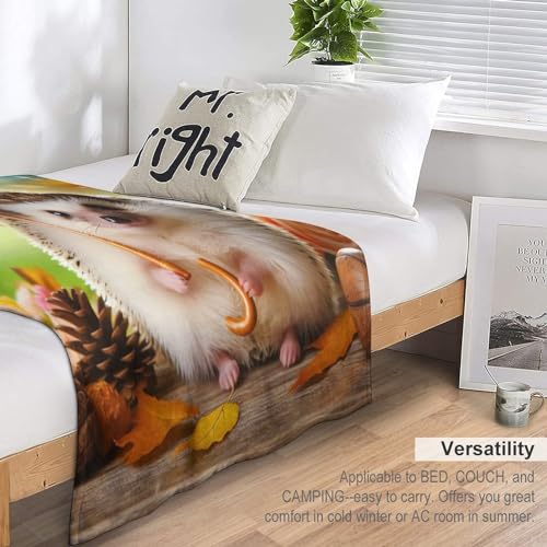 Couverture jeté flannel hérisson chaud confortable doux pour canapé