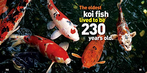 Weird But True 3: Expanded Edition: 350 Outrageous Facts: 4