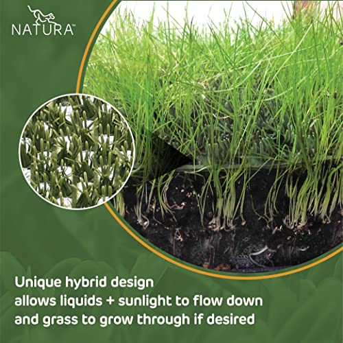 Natura PowerRun 10376807 Outdoor Artificial Grass for Dogs, Turf Grass Patch Blends in with Natural Grass, Keeps Paws and Homes Clean, 1.5 ft. x 15 ft., Green