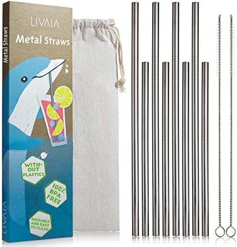 8 Pailles En Inox Réutilisables Avec Brosse De Nettoyage - écologique, Lavables Au Lave-vaisselle