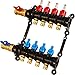 Legend Valve 8100-10-5 Engineered Plastic Manifold, 5 Port, Isolation Valve, 16.62"x3"x15.25"