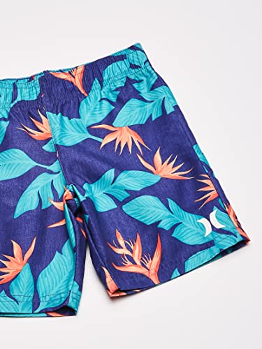 Image of Hurley Baby Boys' Swim Suit 2-Piece Outfit Set