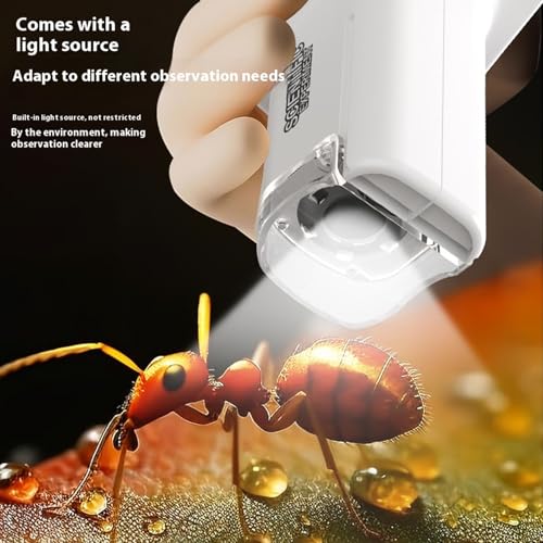 Microscope numérique LCD à éclairage intégré pour observation étendue