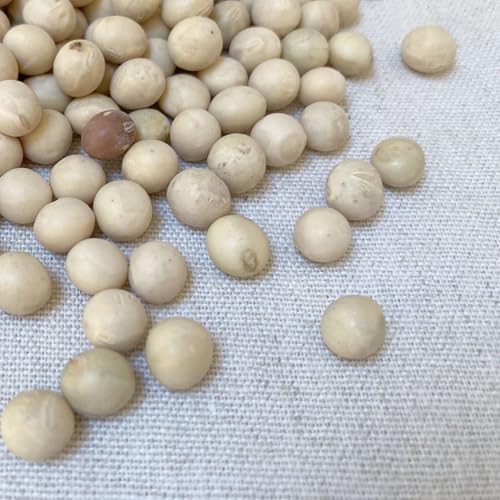 Y({錧܂͊茧) 哤  KiO A 10kg(5kg×2_)