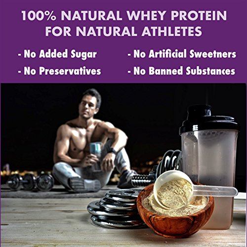 Image of HealthyHey Sports ISO Whey Protein - ISOReal (Sourced From Germany) - 90% Protein with Digestive Enzymes - (Unflavoured - 1 kg)