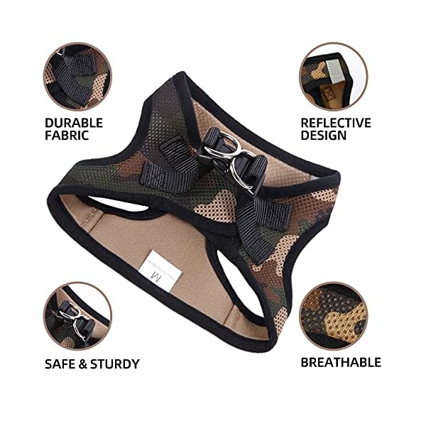 PINA Dog Harness for Small Medium Dogs No Pull, Dog Harness and Leash Set, No Choke Breathable Mesh Dog Vest Harness, Lightweight Adjustable Small Medium Dog Harness – Easy to Put On and Take Off PINA Dog Harness for Small Medium Dogs No Pull, Dog Harness and Leash Set, No Choke Breathable Mesh Dog Vest Harness, Lightweight Adjustable Small Medium Dog Harness – Easy to Put On and Take Off