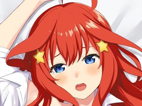 Amazon.co.jp: 正規品 五等分の花嫁 五女 中野五月抱き枕カバー（B 