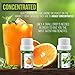 Aroma2Go – Cooking Set of 14 Natural Pure Plant-Based Essential Oils – Top Selling Aromatherapy Bundle Set – Therapeutic Grade Essential Oils – Sweet Orange Essential Oils – 14-Piece Set