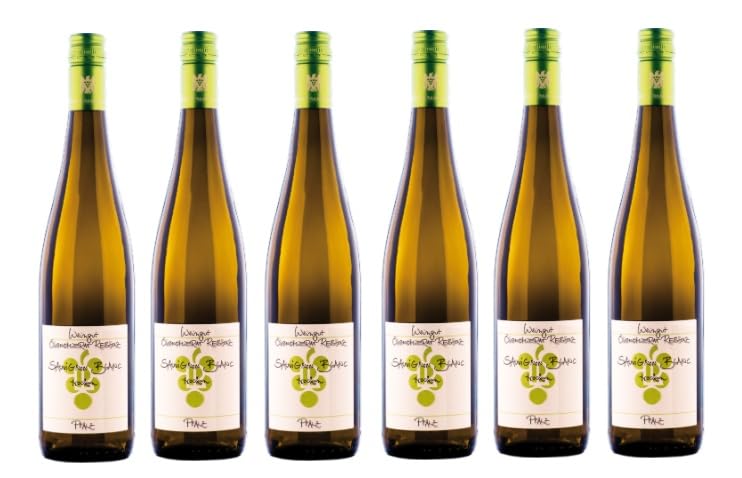 6x 0,75l - 2025er - Ökonomierat Rebholz - Sauvignon Blanc