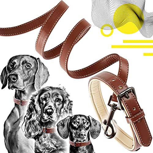 ne&no® Collar and Lead Set (Vegan Leather) Dog Lead with Collar I Robust Dog Lead with Carabiner I Adjustable Dog Collar I 1.2 m Dog Leash I Flexible and Extra Soft (M