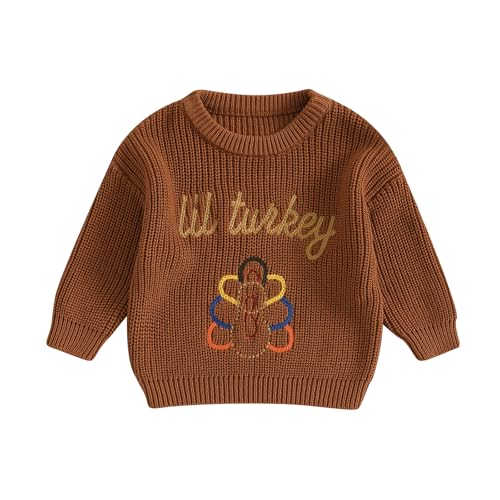 Toddler Baby Boy Girl Thanksgiving Outfit Turkey Embroidery Sweater Top Long Sleeve Knit Sweater Fall Winter Clothes (Brown lit Turkey, 0-3 Months)