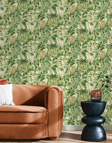 Image of Tommy Bahama - Peel and Stick Wallpaper, Botanical Wallpaper for Bedroom, Powder Room, Kitchen, Vinyl, 30.75 Sq Ft Coverage (Nature Lover Collection, Aloe)