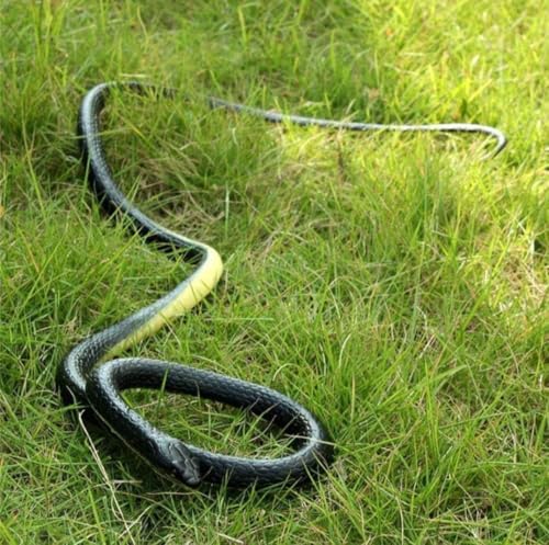 Image of KRySt Brown Lizard and Black Snake Combo Toys | Real Looking Rubber Lizard Toy | Original Look Chipkali Toy | Chipkali and Snake Prank Toys for Kids and Adults (Single Snake)