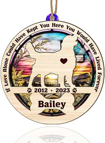 Customized Cat Memorial Suncatcher Ornament Loss Dog Sympathy Gift Condolence Gift Memorial Keepsake Bereavement Gift For Pet Owner Christmas Decorations Sympathy with Name Date Portrait Gifts