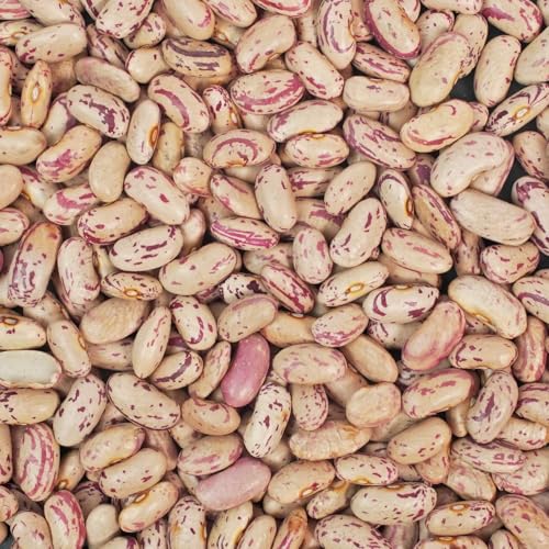 Image of Kiansh Rajma Chitra 500gm