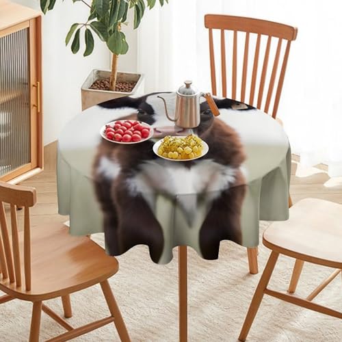 Nappe ronde imprimée vache lavable pour une protection de table efficace - 6