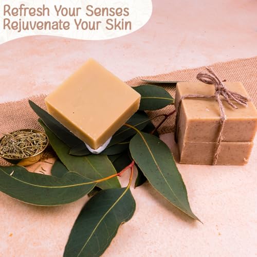 Image of Naturalis Eucalyptus Soap - Handmade Cold-Pressed Soap with Organic Rosemary Oil - Organic Soap for Deep Cleansing, Hydration, Skin Soothing, and Radiant Glow, 100g