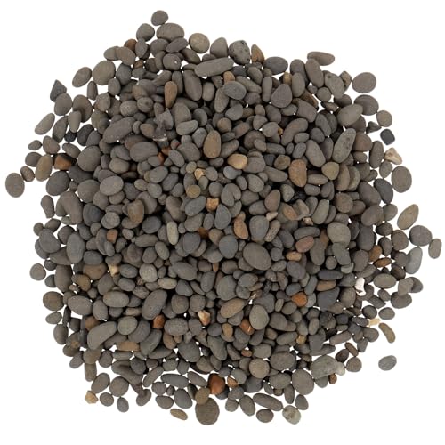 Totority �W�I���}�΍ރL�b�g �����p�Α��� �~�j�`���A�S�����i�p�V�R�� 2-5mm �͏��� 50g���� �T���h�e�[�u�� �~�� �뉀�̕����������