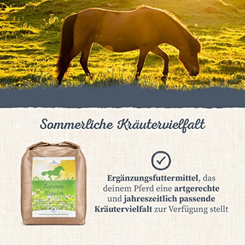 Krauterie Sommerkräuter Pferd in Spitzenqualität (3000 g), Sommer Kräuter für Pferde, Saisonkräuter als Bestandteil artgerechter Fütterung, frei von Zusatzstoffen, aus Liebe zu Deinem Pferd